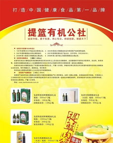 廣州印刷設計加工 食品廣告宣傳單設計的價格、廠家與圖片指南